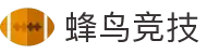 蜂鸟竞技 - 专业电子竞技平台